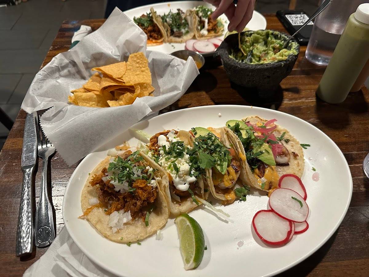El Sol Restaurante & Tequileria restaurant in Washington - photo 9