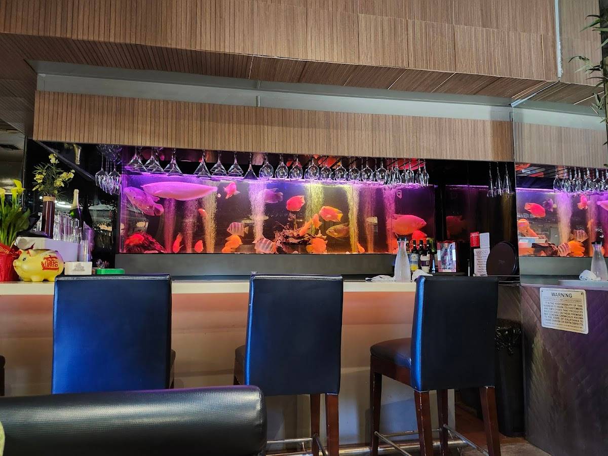 Twin Dragon Chinese Restaurant & Bar restaurant in Los Angeles - photo 5