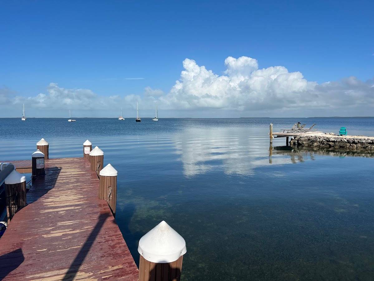 Snook's Bayside Restaurant & Grand Tiki restaurant in Key Largo - photo 3