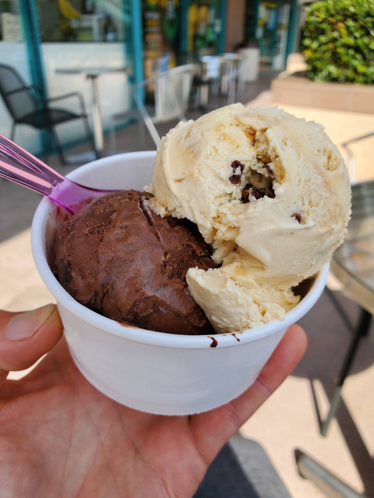 Penguin's Frozen Yogurt restaurant in Los Angeles - photo 3