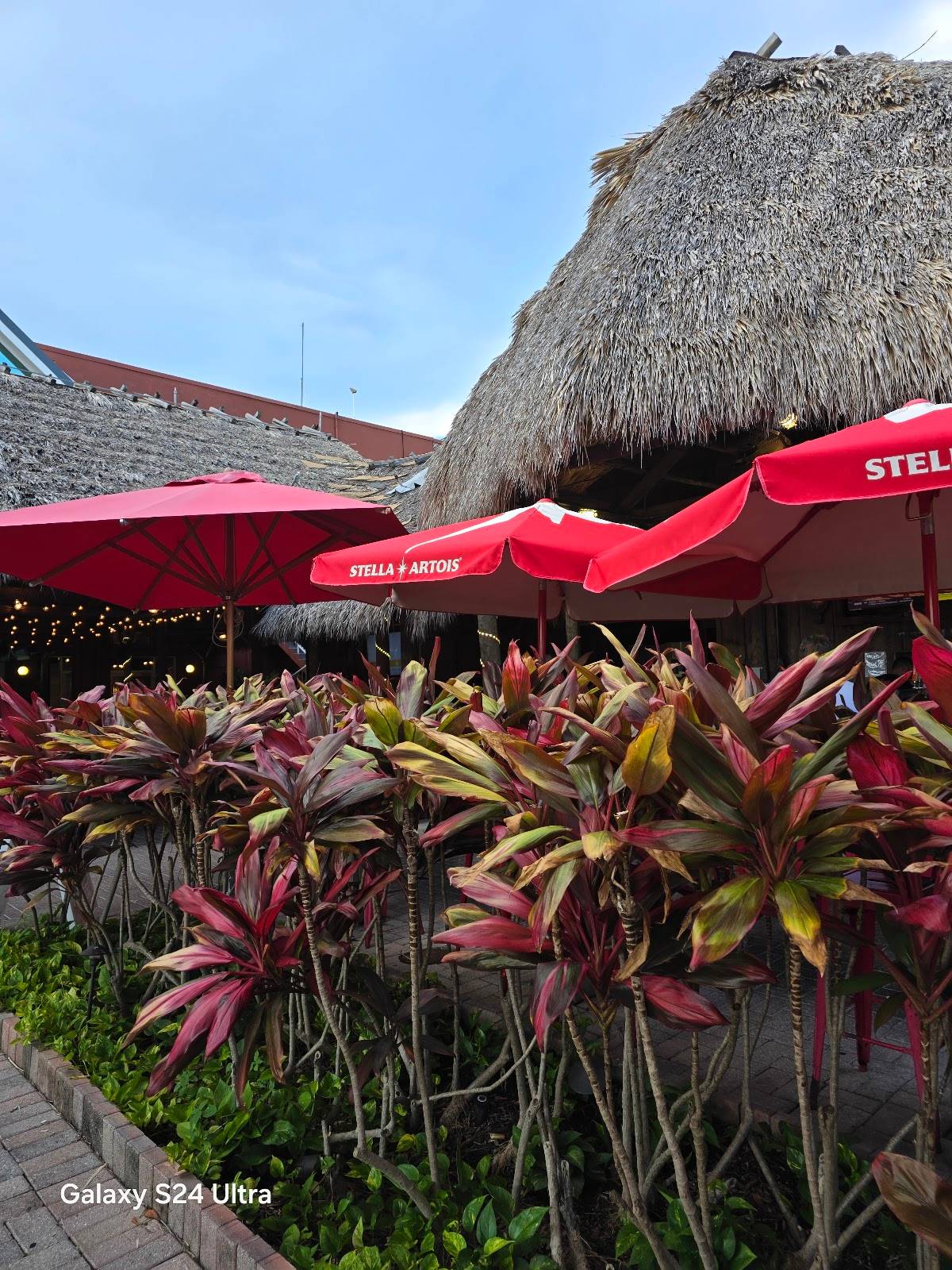 Monty's Coconut Grove - Photo 7