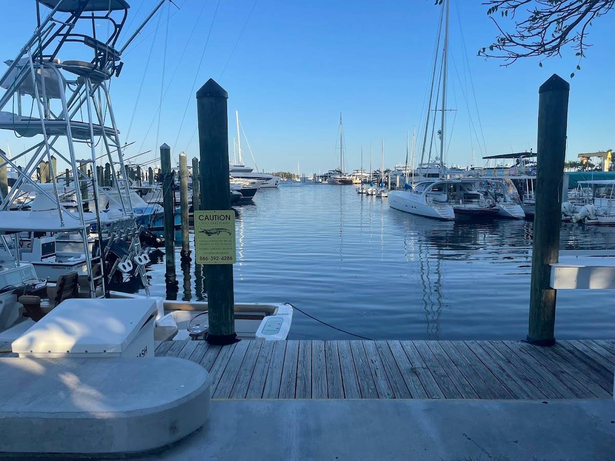Monty's Coconut Grove - Photo 8