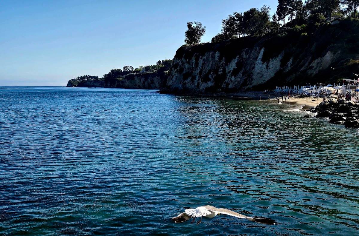 Paradise Cove Beach Café restaurant in Malibu - photo 3