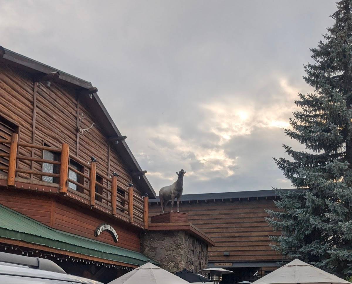 Gun Barrel Steak and Game House restaurant in Jackson - photo 10
