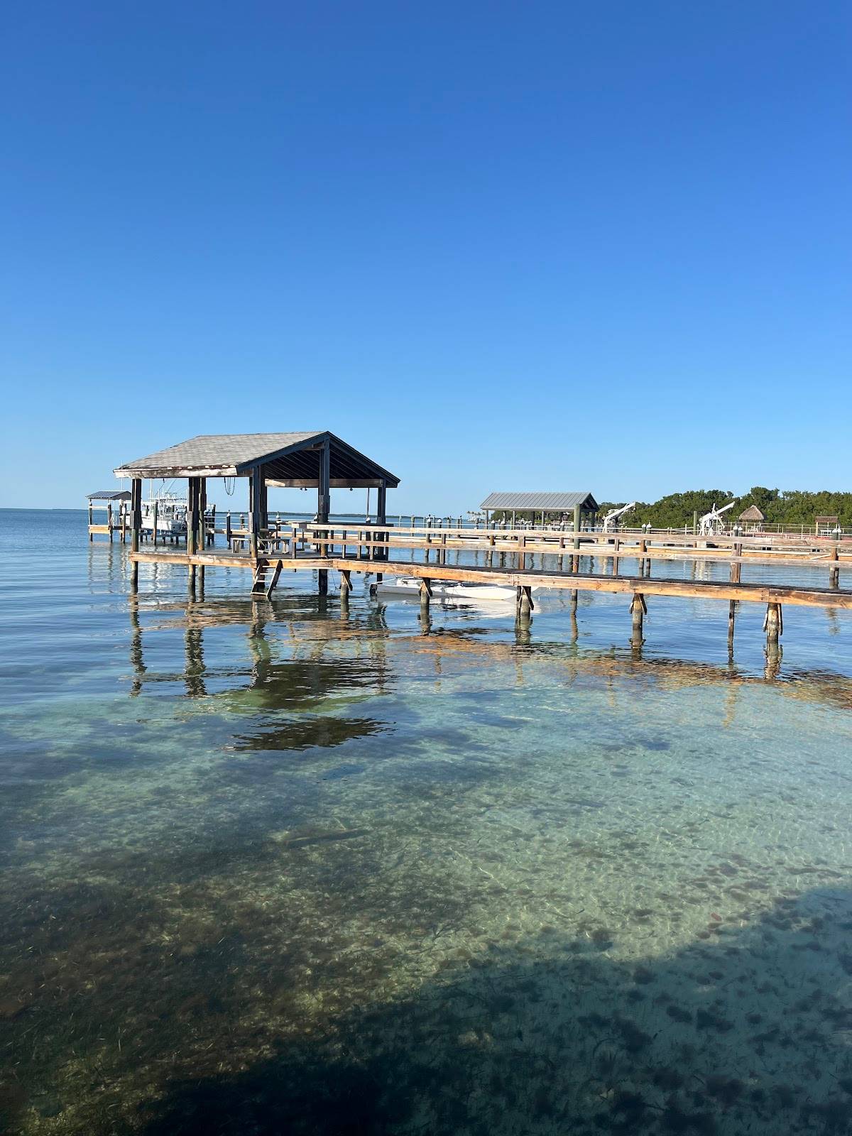 Marker 88 restaurant in Islamorada - photo 4