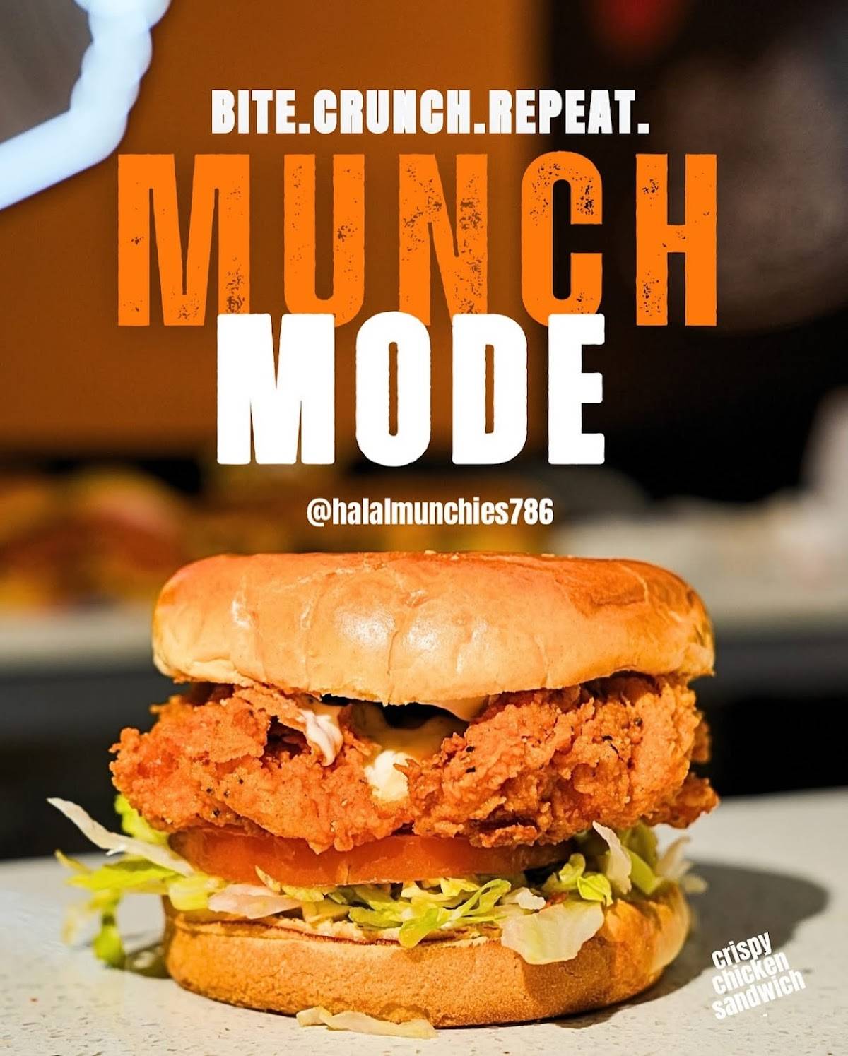 Halal Munchies restaurant in Houston - photo 4