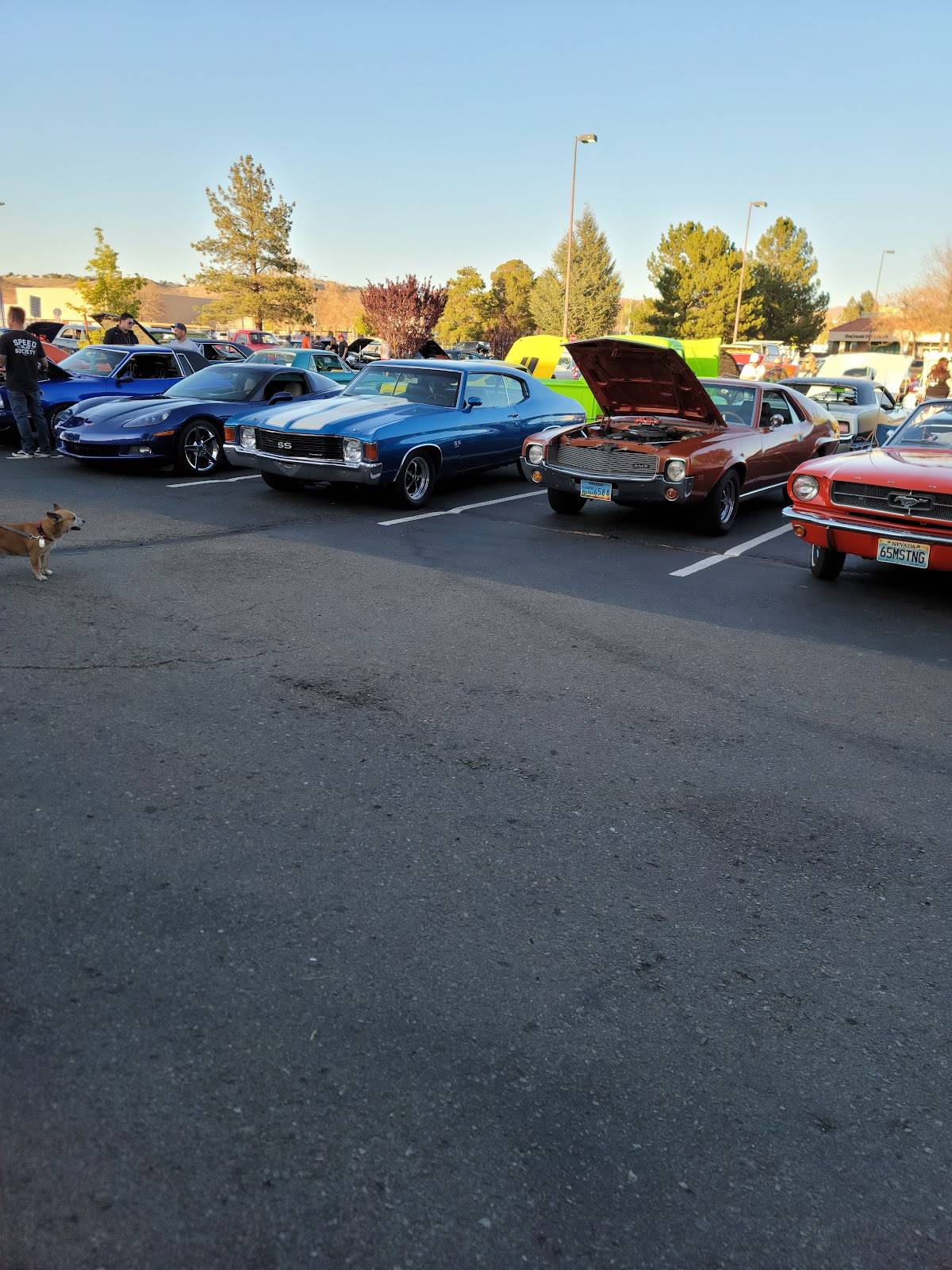A&W Restaurant restaurant in Sparks - photo 10