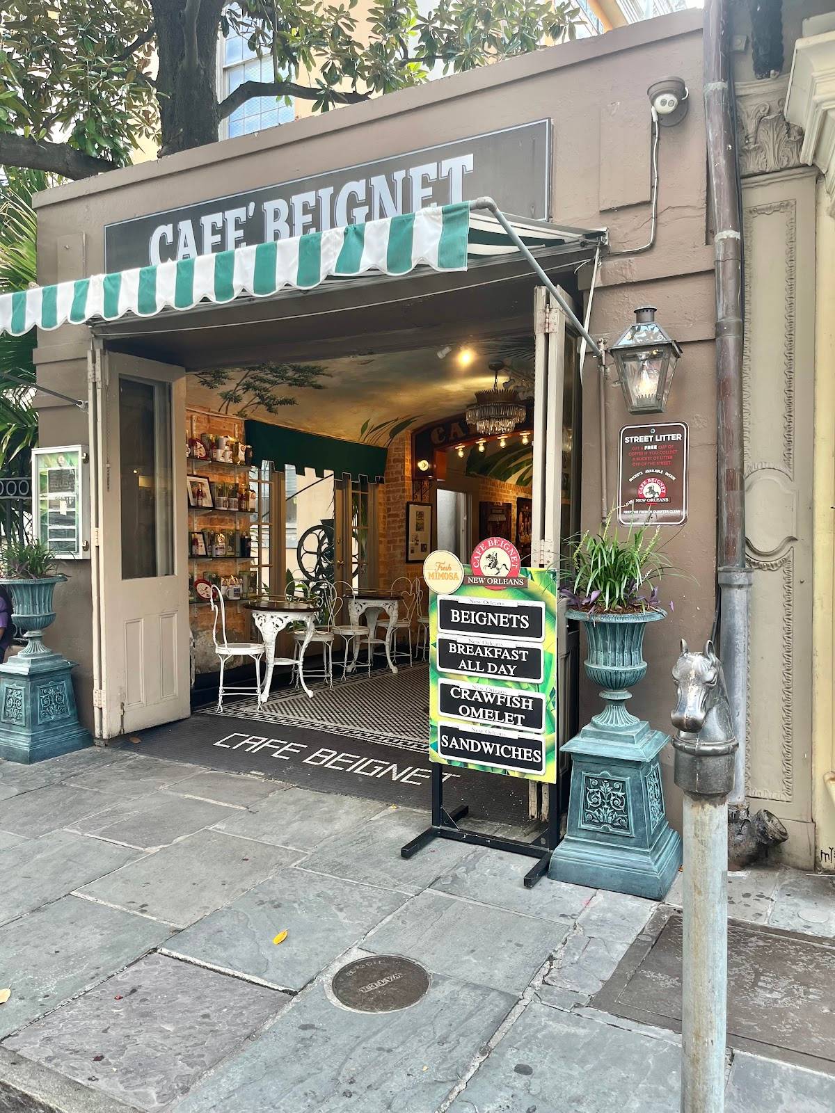 Cafe Beignet, Royal Street - Photo 4