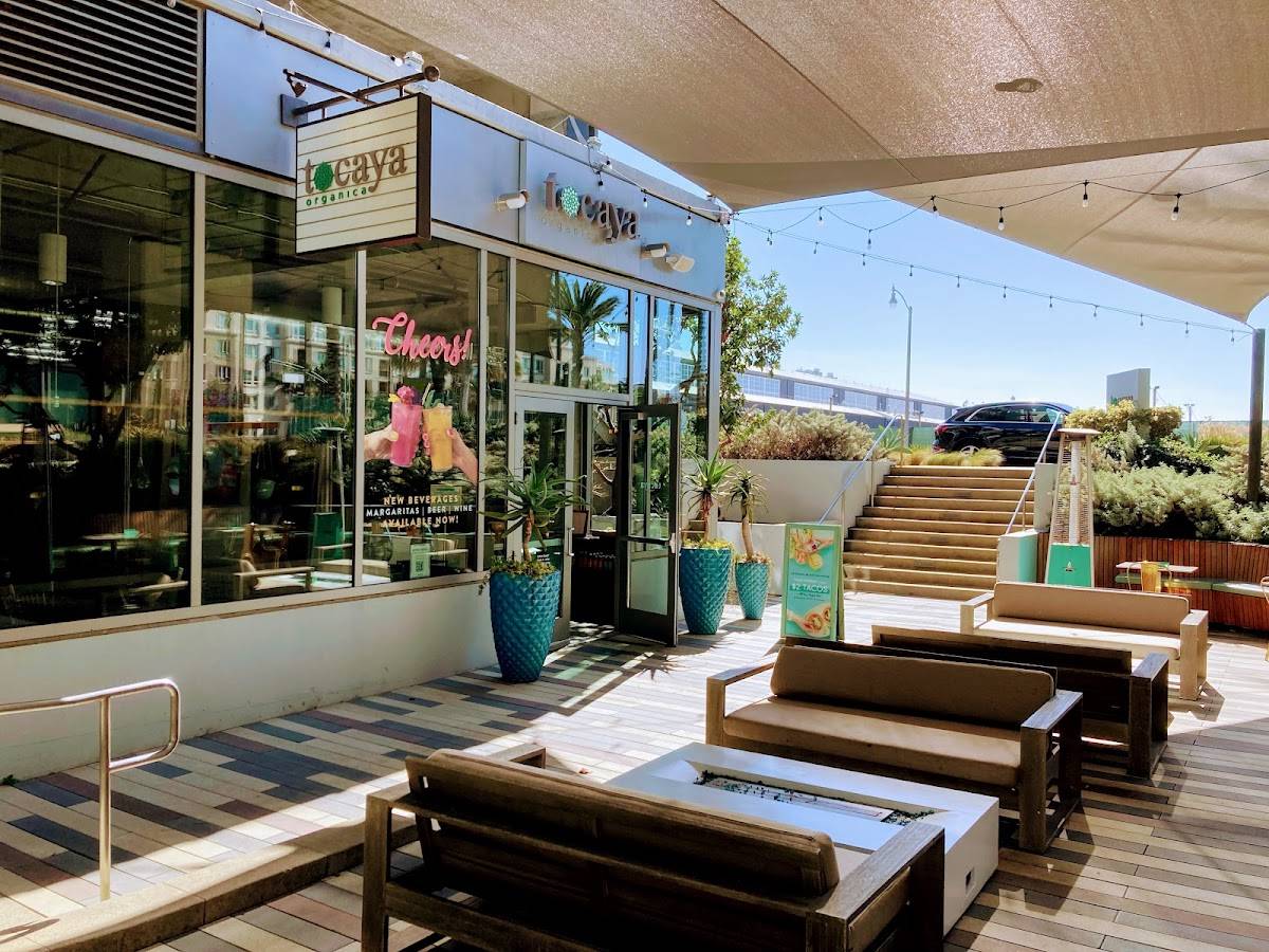 Tocaya Modern Mexican restaurant in Los Angeles - photo 4