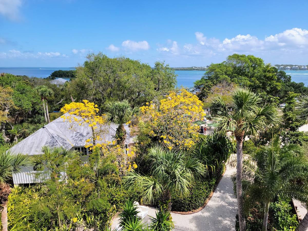 Cabbage Key Inn and Restaurant restaurant in Pineland - photo 6