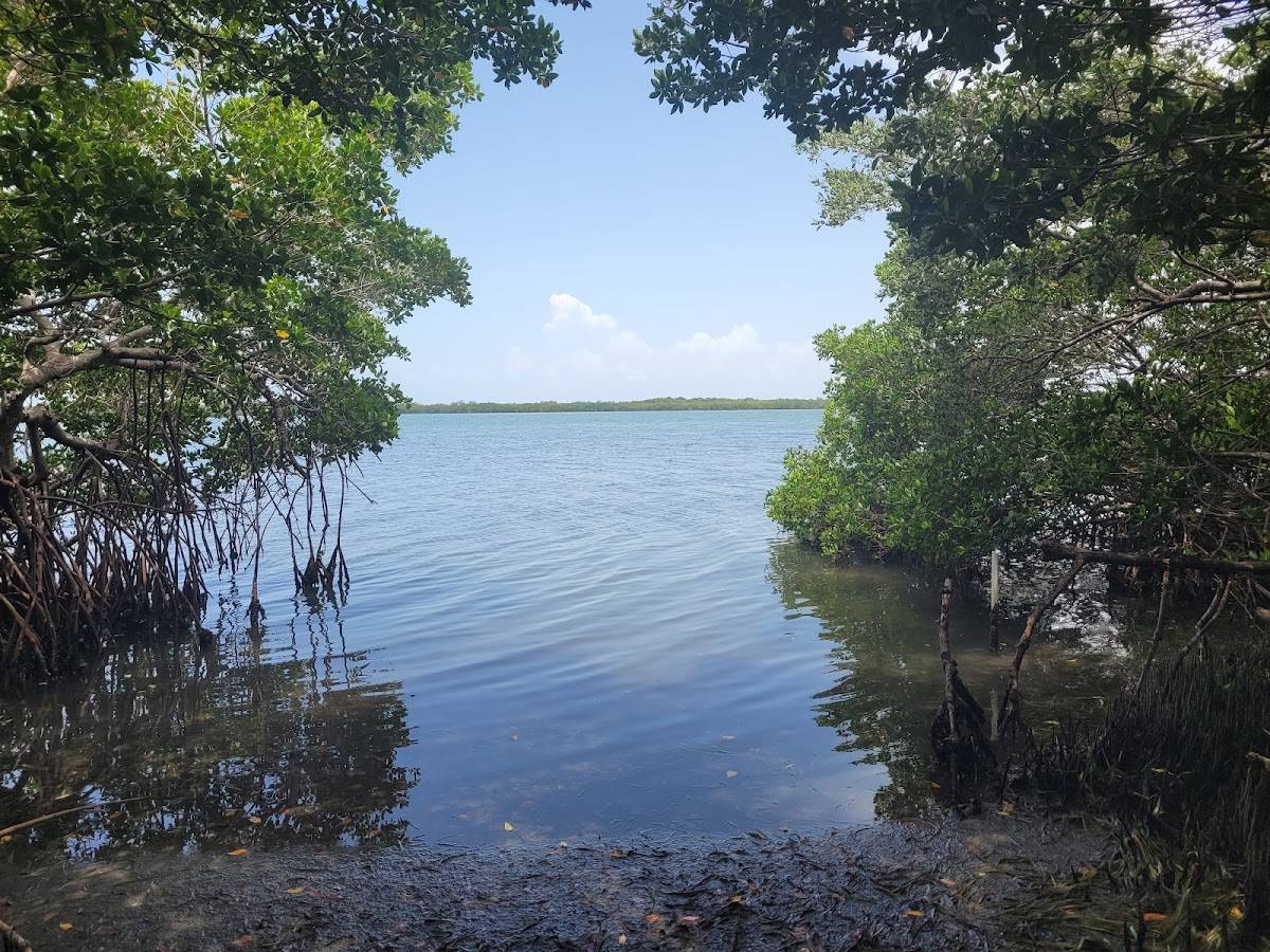 Cabbage Key Inn and Restaurant restaurant in Pineland - photo 8