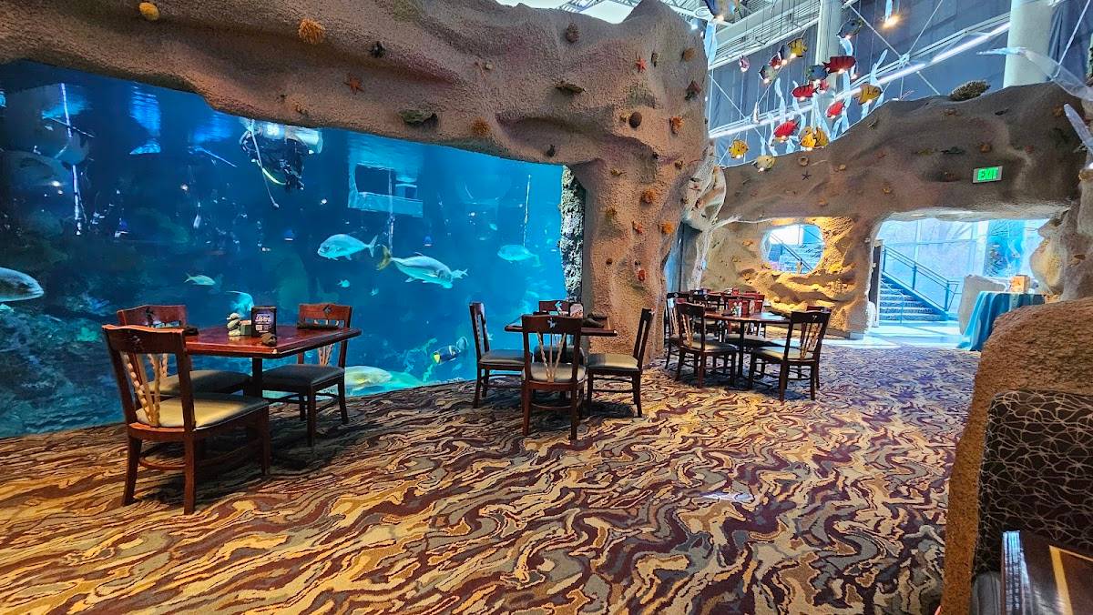 Downtown Aquarium restaurant in Denver - photo 2