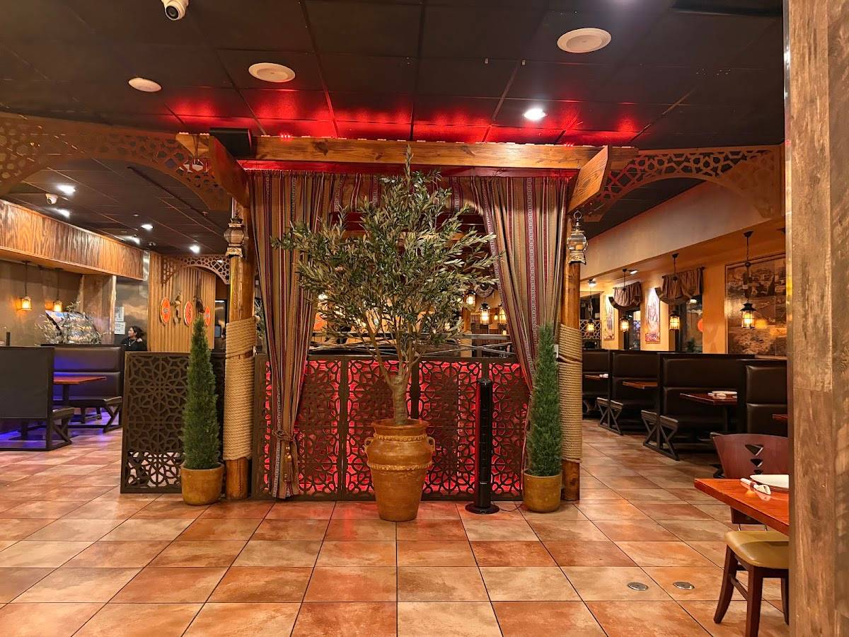 Sayad Mediterranean Kitchen restaurant in Houston - photo 5