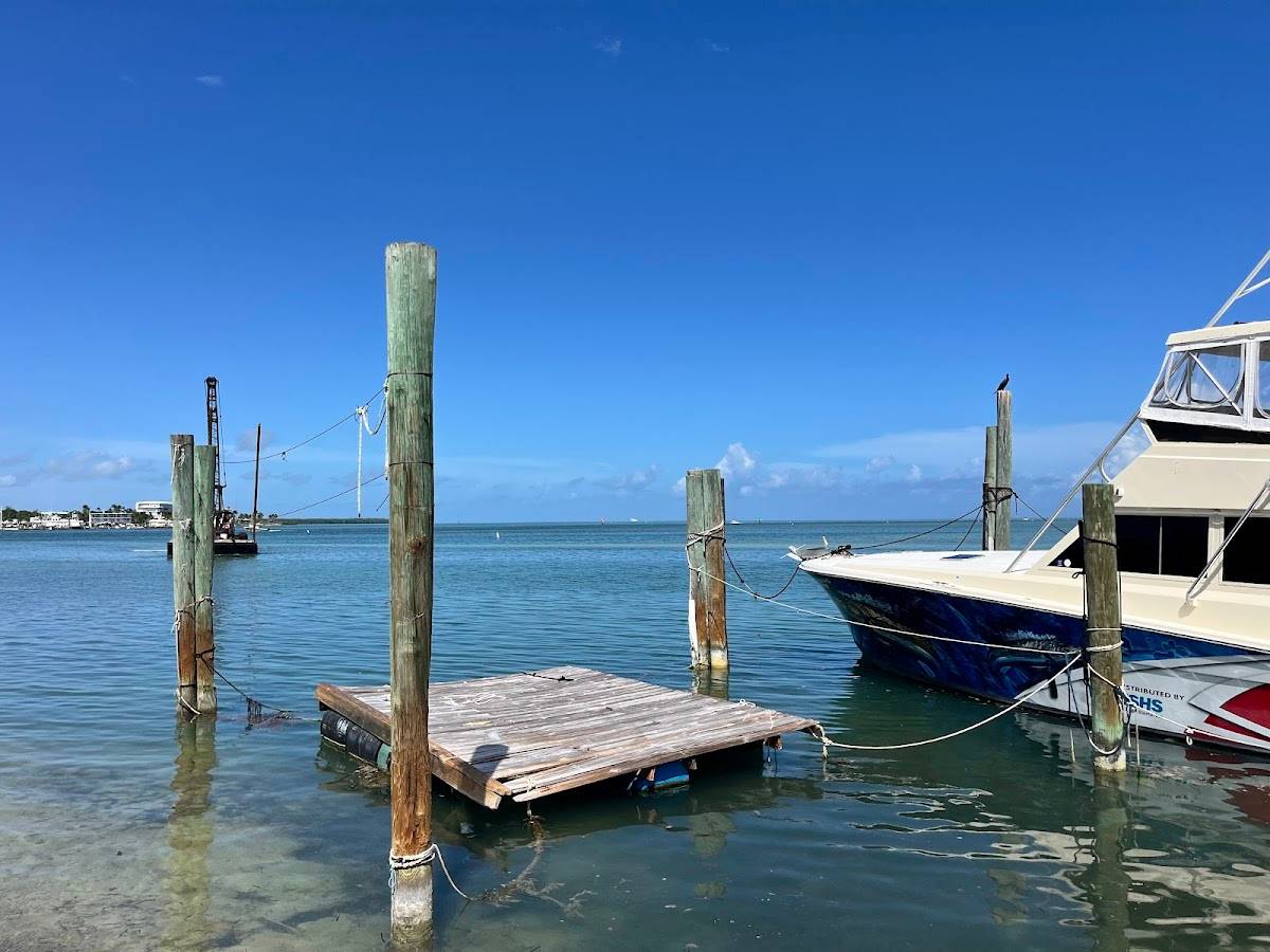 Wahoo's Seafood Bar and Grill Restaurant restaurant in Islamorada - photo 4