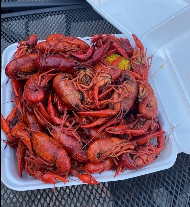 Bayou Beer Garden restaurant in New Orleans - photo 3