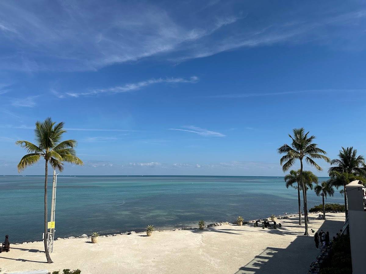 SandBar restaurant in Islamorada - photo 3