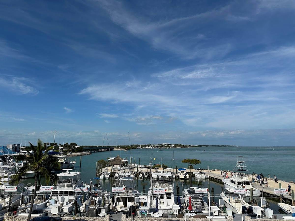SandBar restaurant in Islamorada - photo 5
