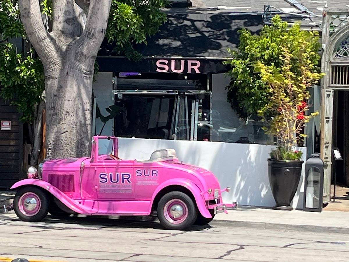 SUR Restaurant and Lounge restaurant in West Hollywood - photo 4