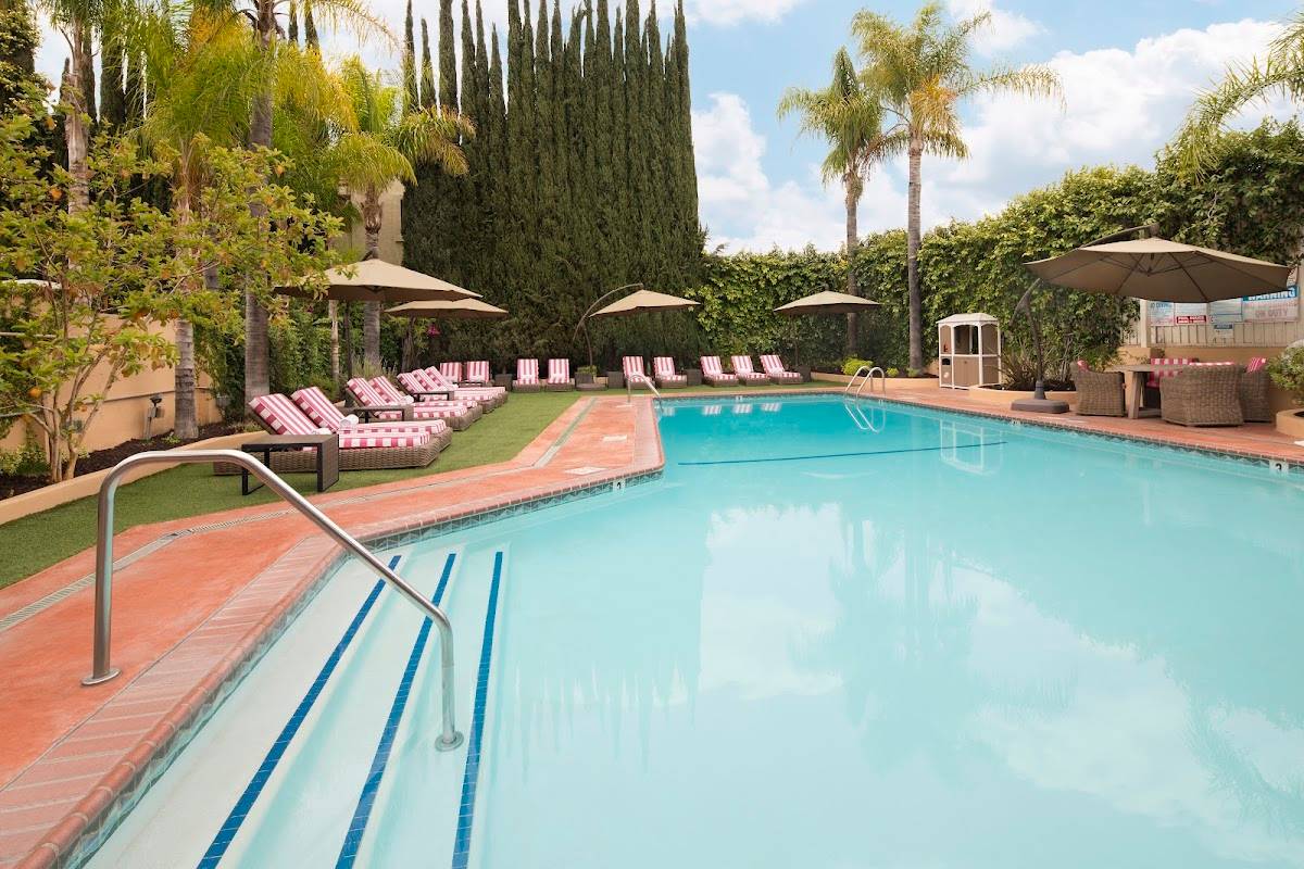 Hollywood Hotel ® restaurant in Los Angeles - photo 3