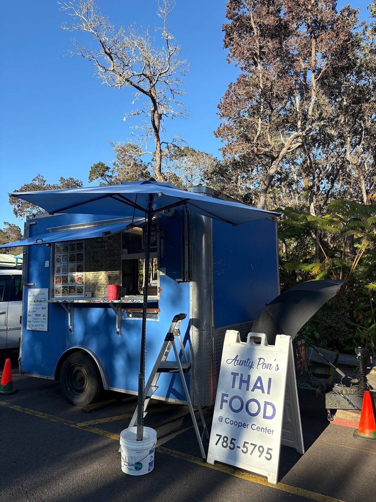 Aunty Pon's Thai Food Truck restaurant in Volcano - photo 4