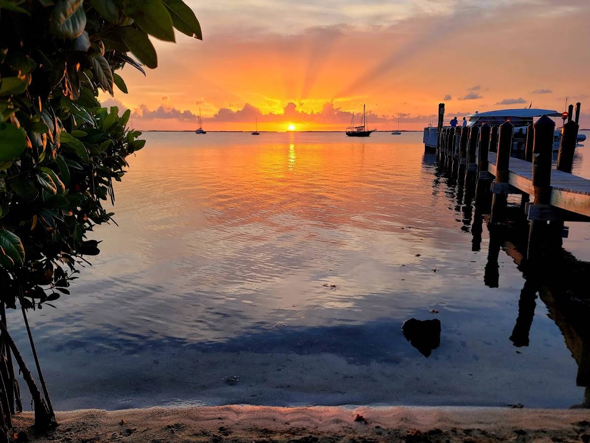 Bayside Grille & Sunset Bar restaurant in Key Largo - photo 4