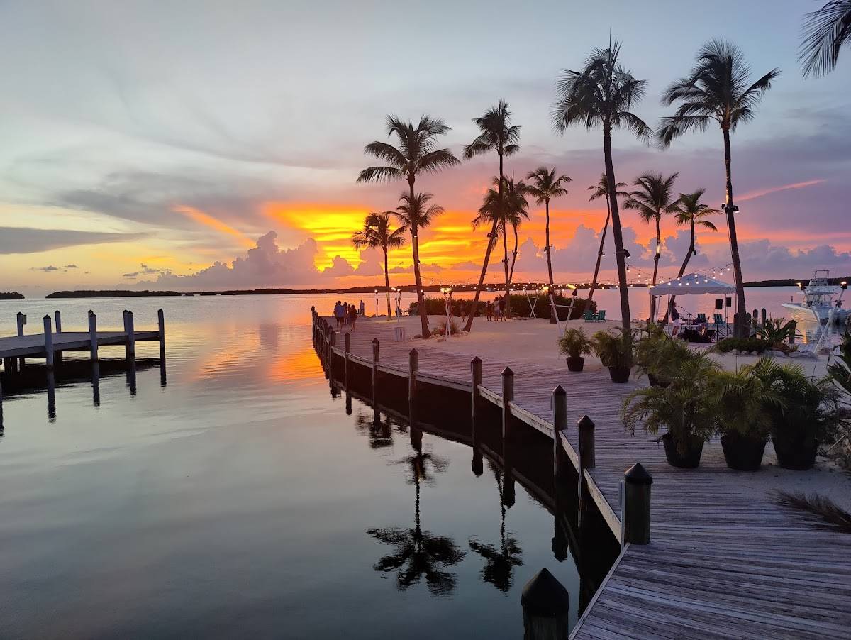 Islamorada Fish Company restaurant in Islamorada - photo 4
