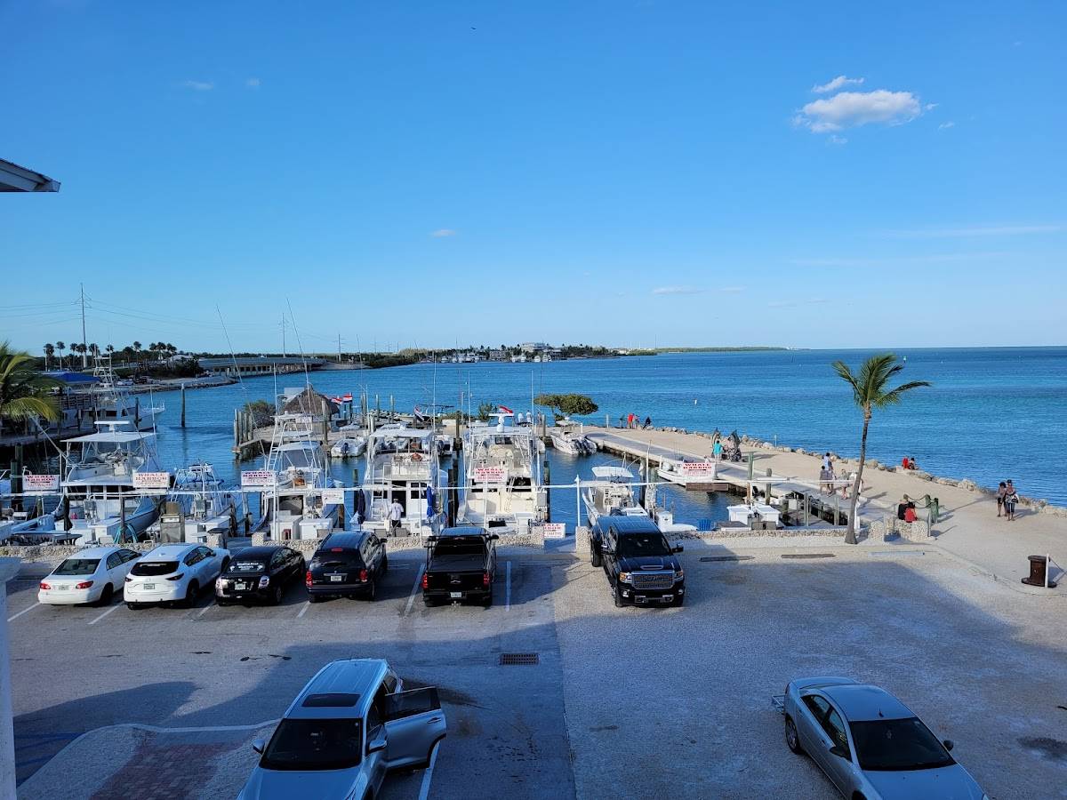 Whale Harbor Marina restaurant in Islamorada - photo 3