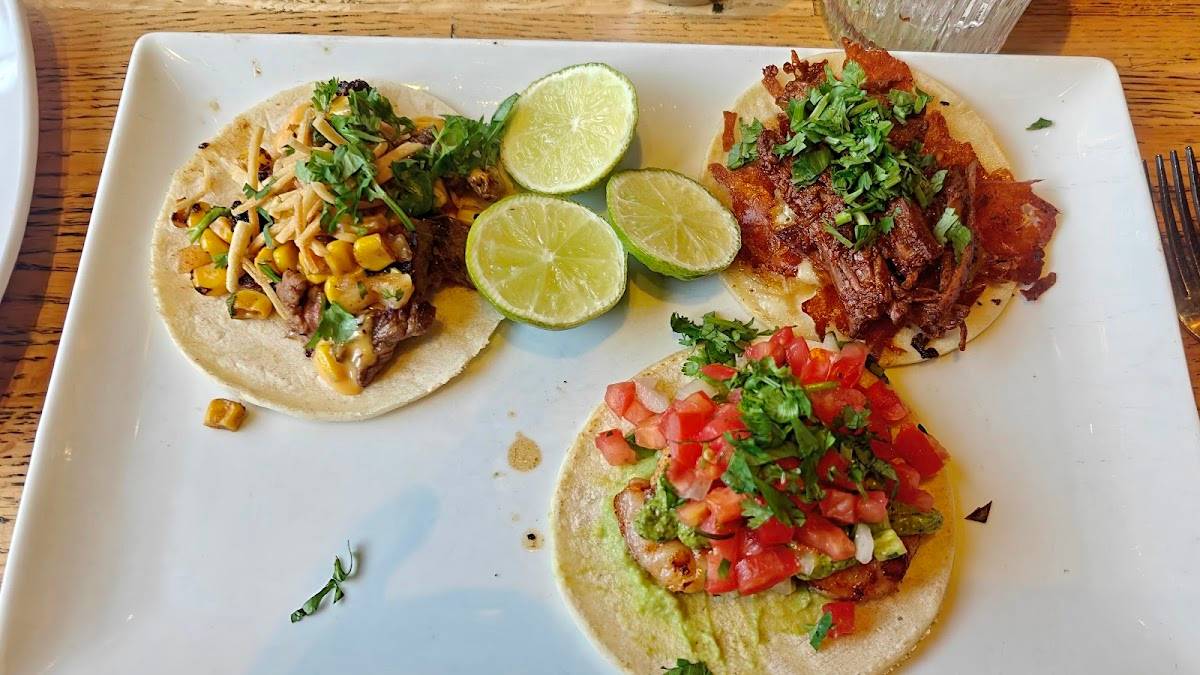 el Camino restaurant in Denver - photo 4