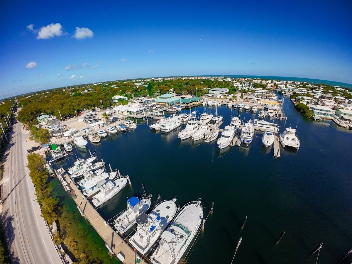 Pilot House Restaurant & Marina restaurant in Key Largo - photo 4