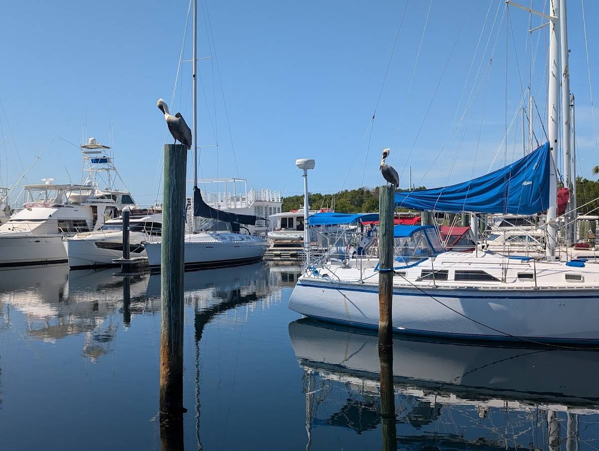 Pilot House Restaurant & Marina restaurant in Key Largo - photo 5
