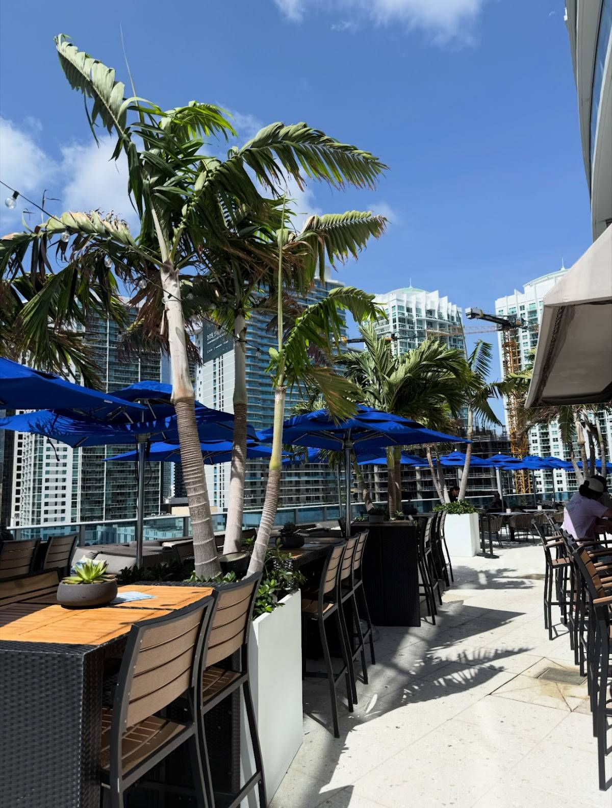 Area 31 restaurant in Miami - photo 2