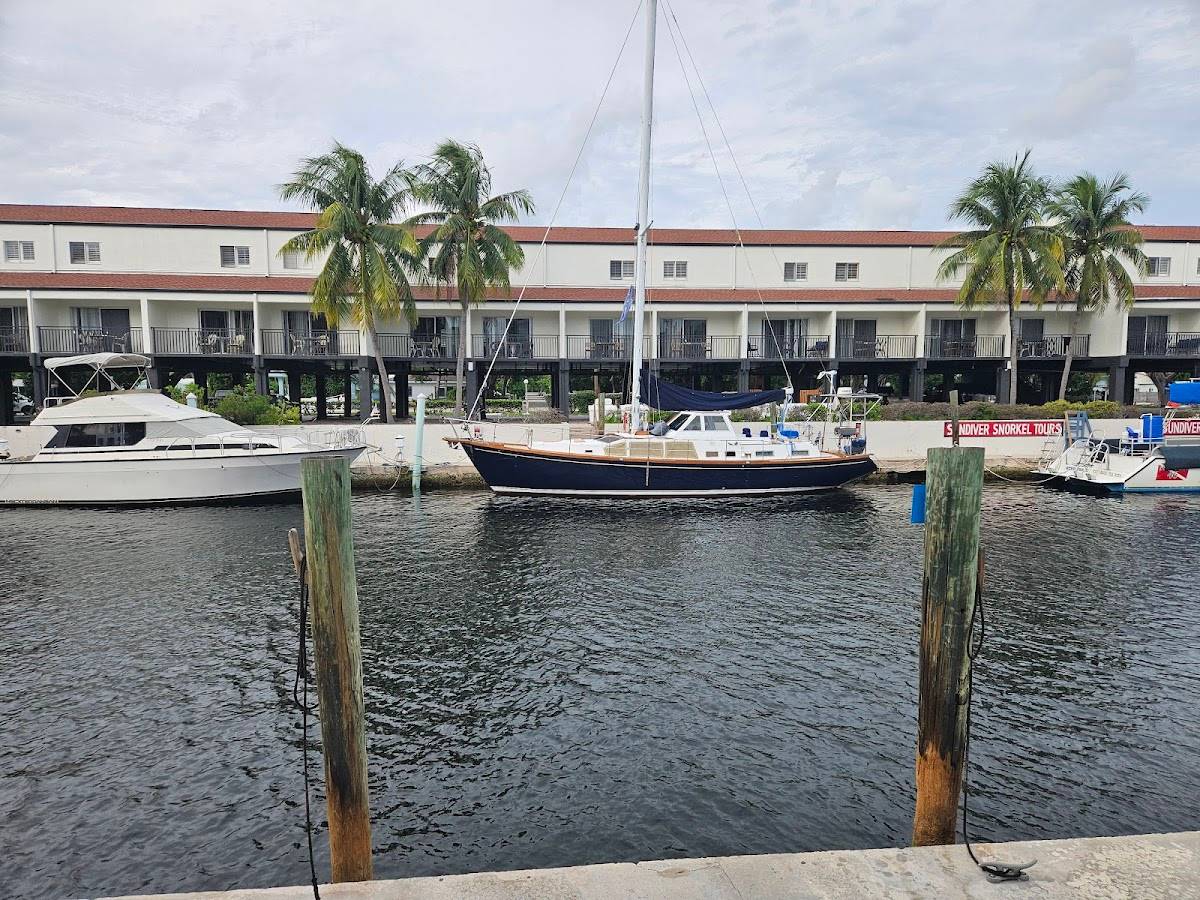 Sharkey’s Sharkbite Grill restaurant in Key Largo - photo 4