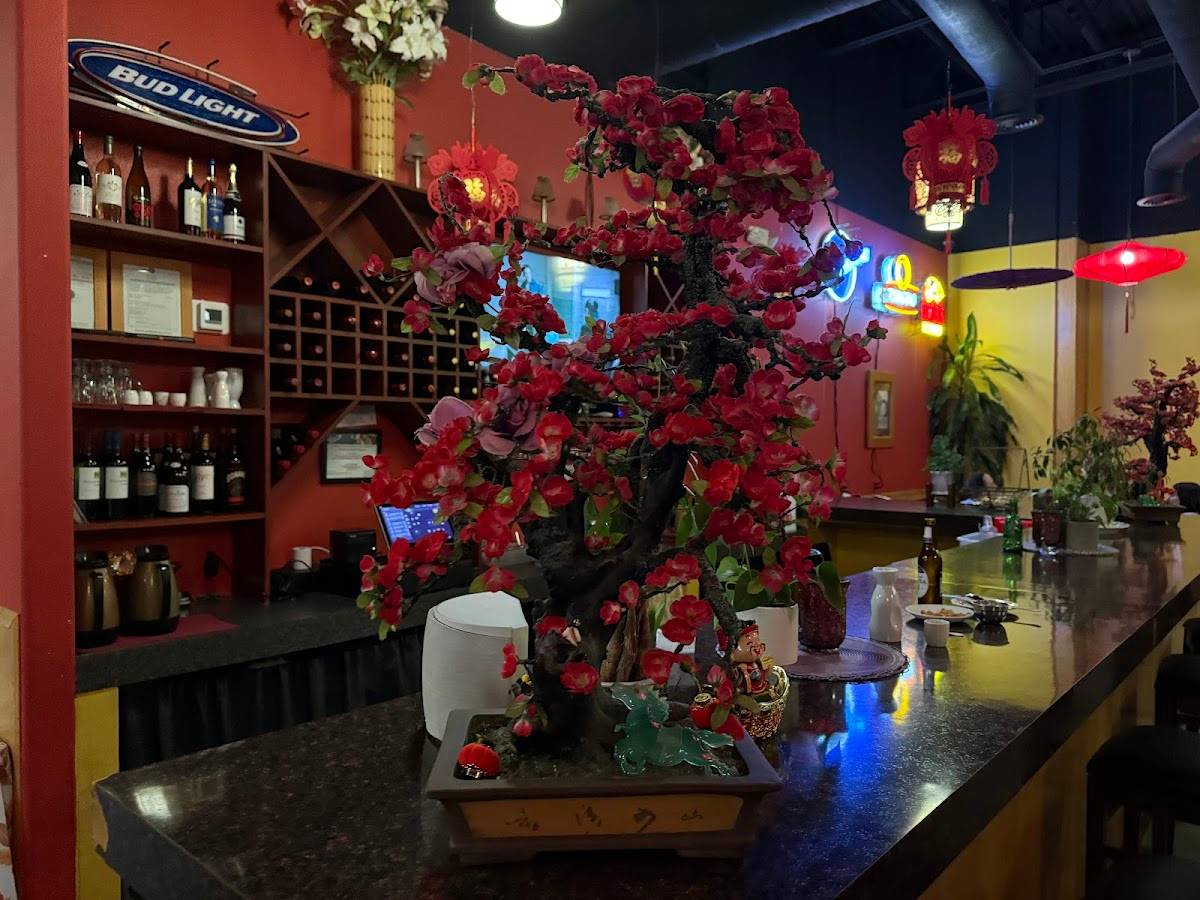 Amy's China Cuisine restaurant in Cedar Park - photo 2