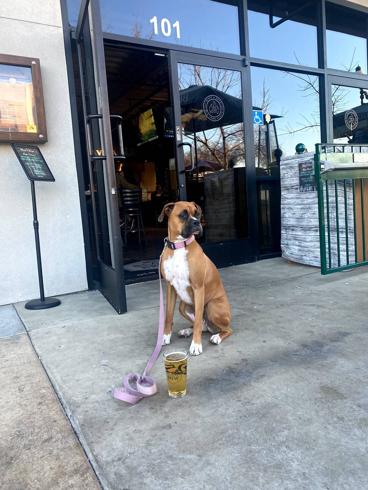 Blast & Brew