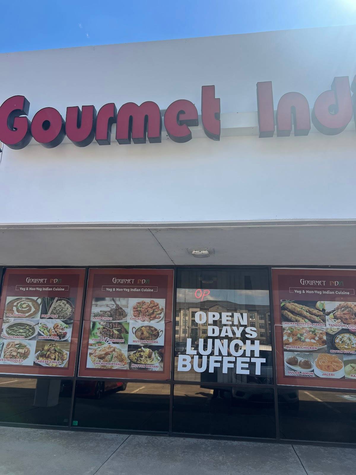 Gourmet India restaurant in Houston - photo 4