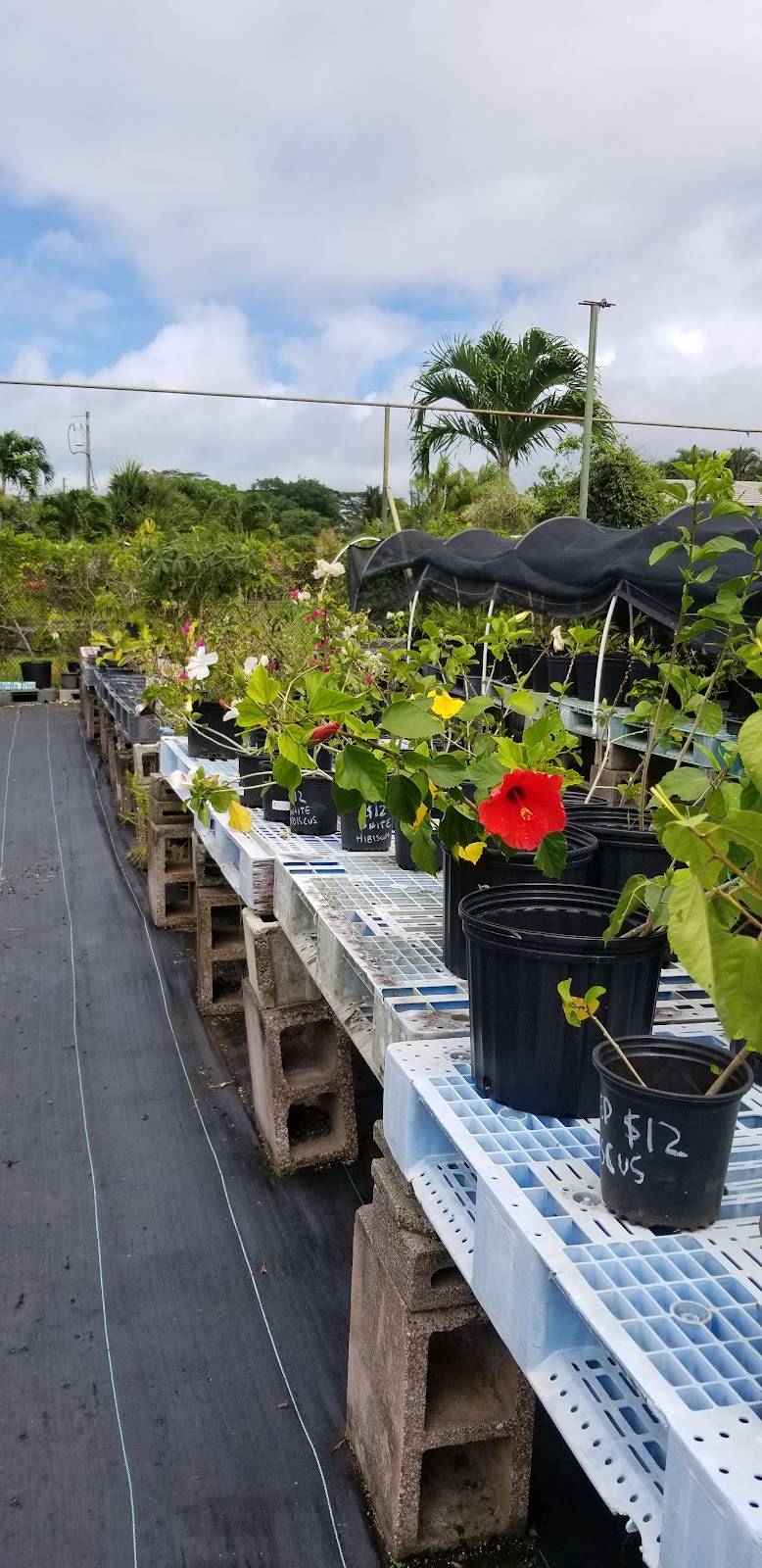 The Garden Bistro
