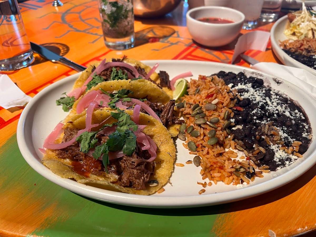 Cactus Alki Beach restaurant in Seattle - photo 3