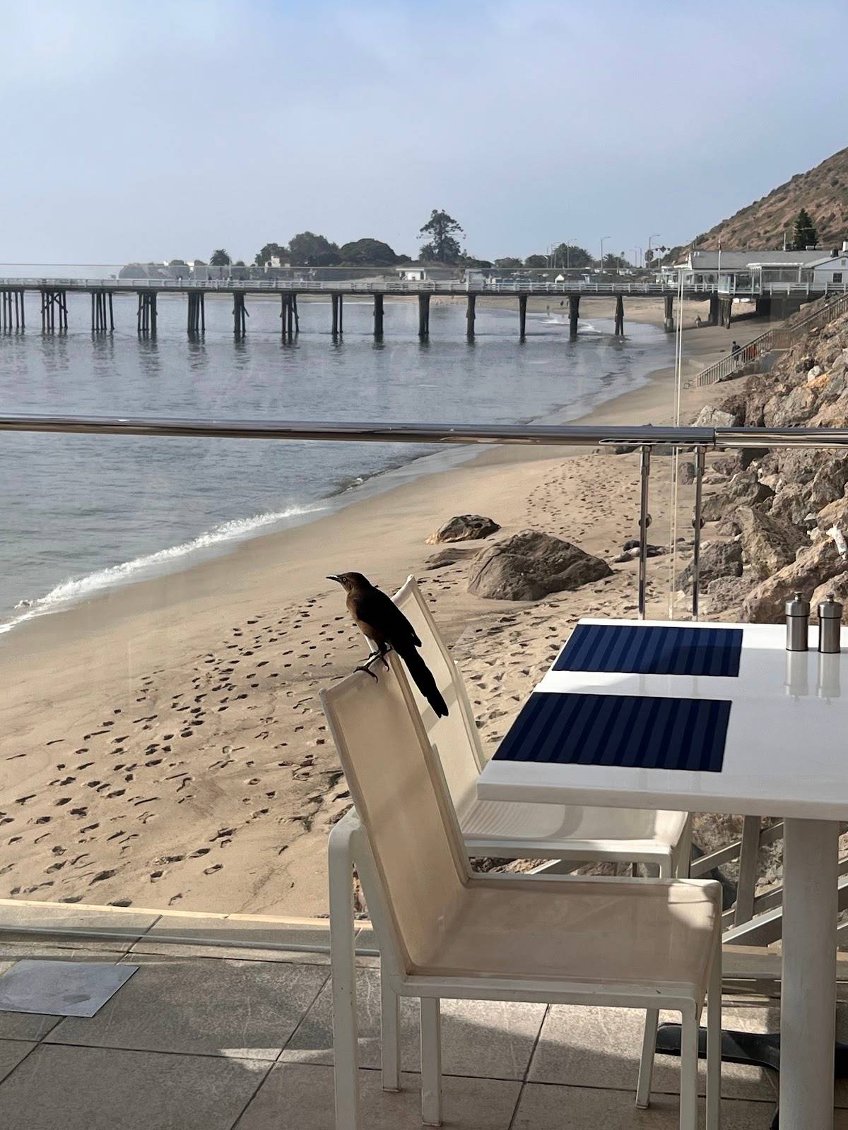Carbon Beach Club Restaurant | Malibu Beach Inn restaurant in Malibu - photo 3