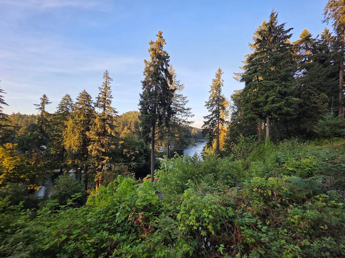 Stone Cliff Inn restaurant in Oregon City - photo 5