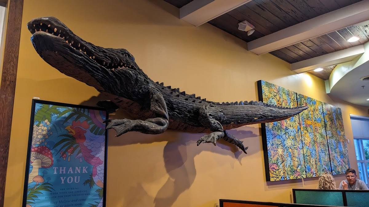 Mellow Mushroom St. Augustine restaurant in St Augustine - photo 3