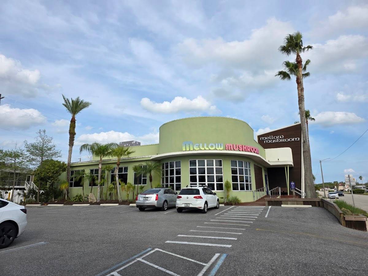 Mellow Mushroom St. Augustine restaurant in St Augustine - photo 4