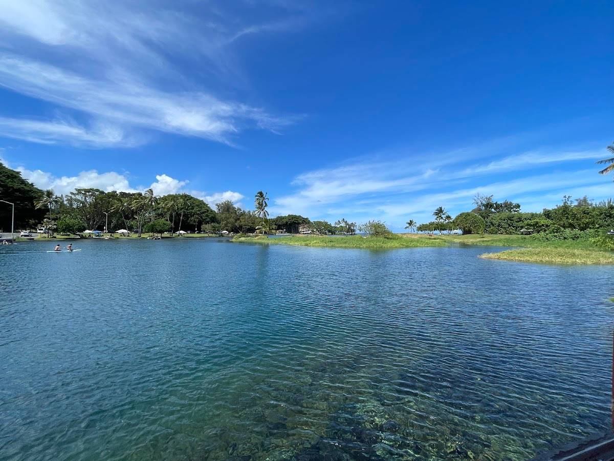 Ponds Hilo - Photo 4
