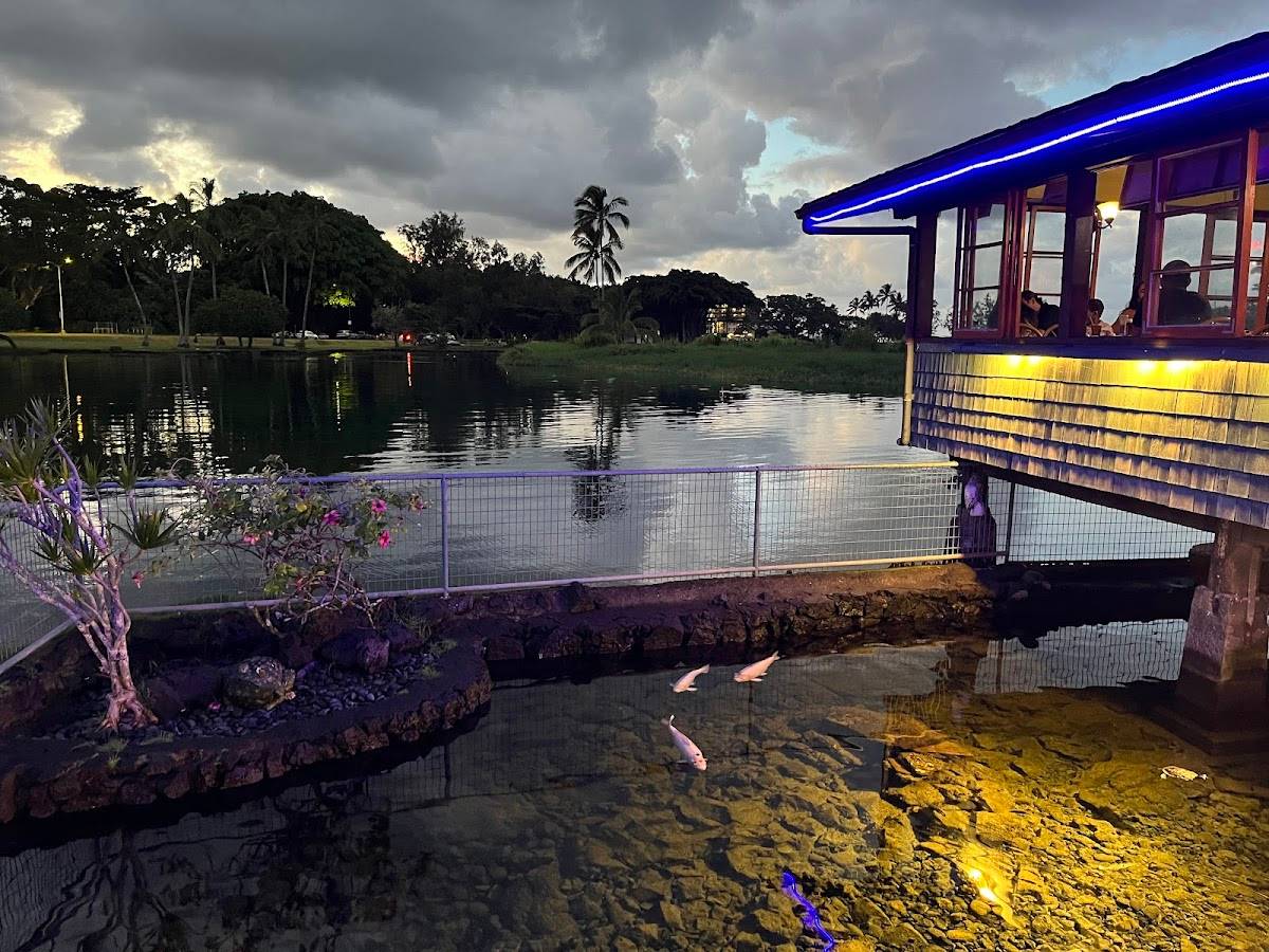 Ponds Hilo - Photo 5