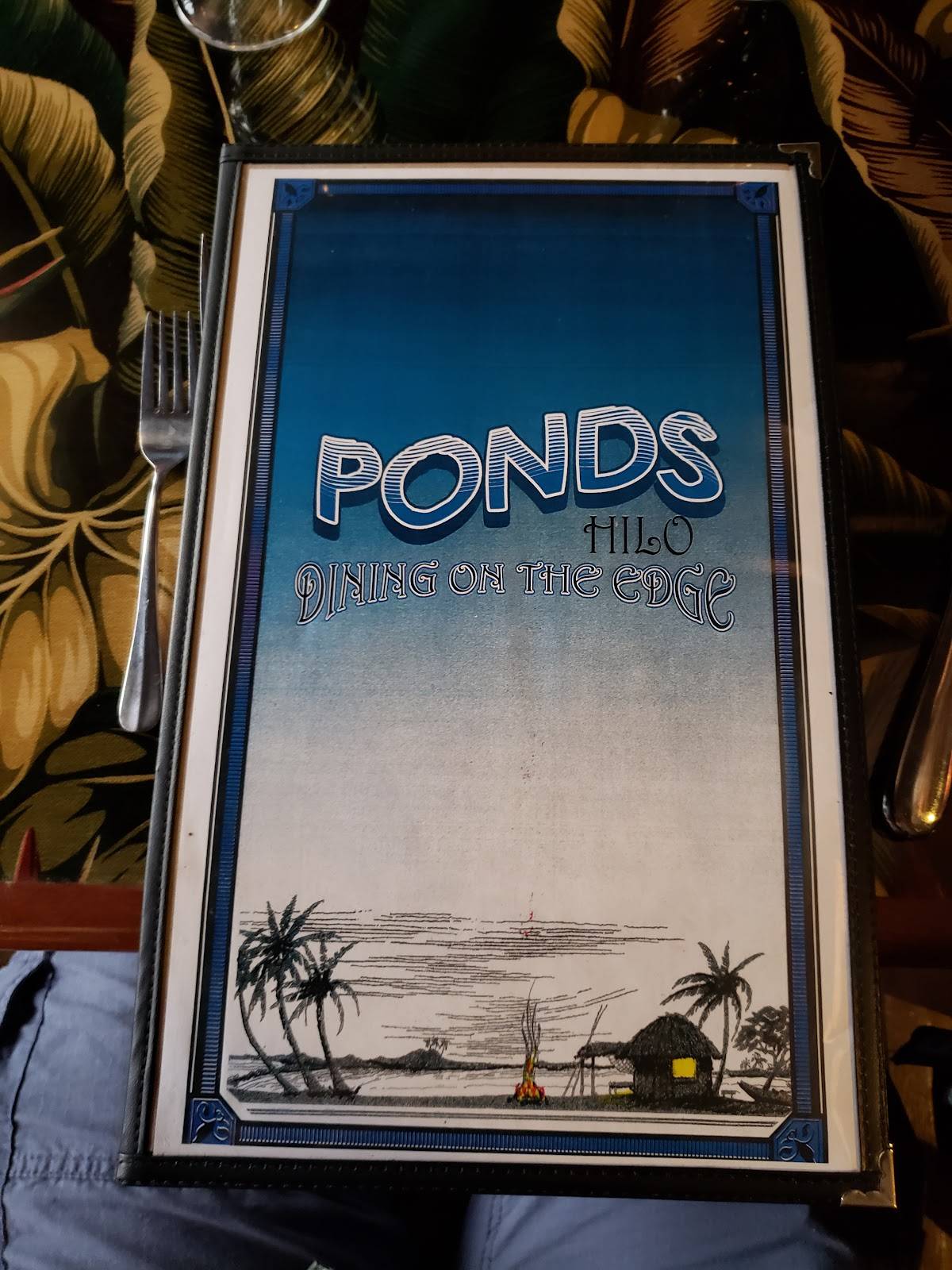 Ponds Hilo - Photo 6