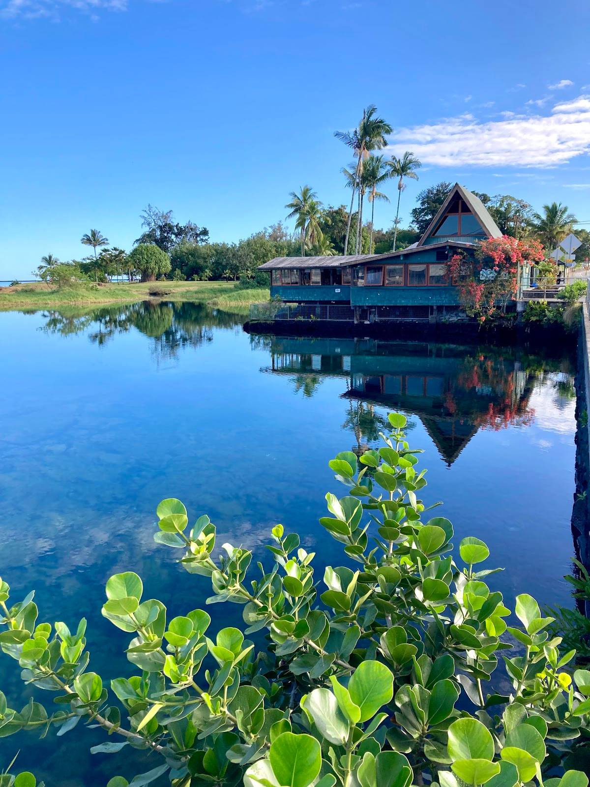 Ponds Hilo - Photo 10