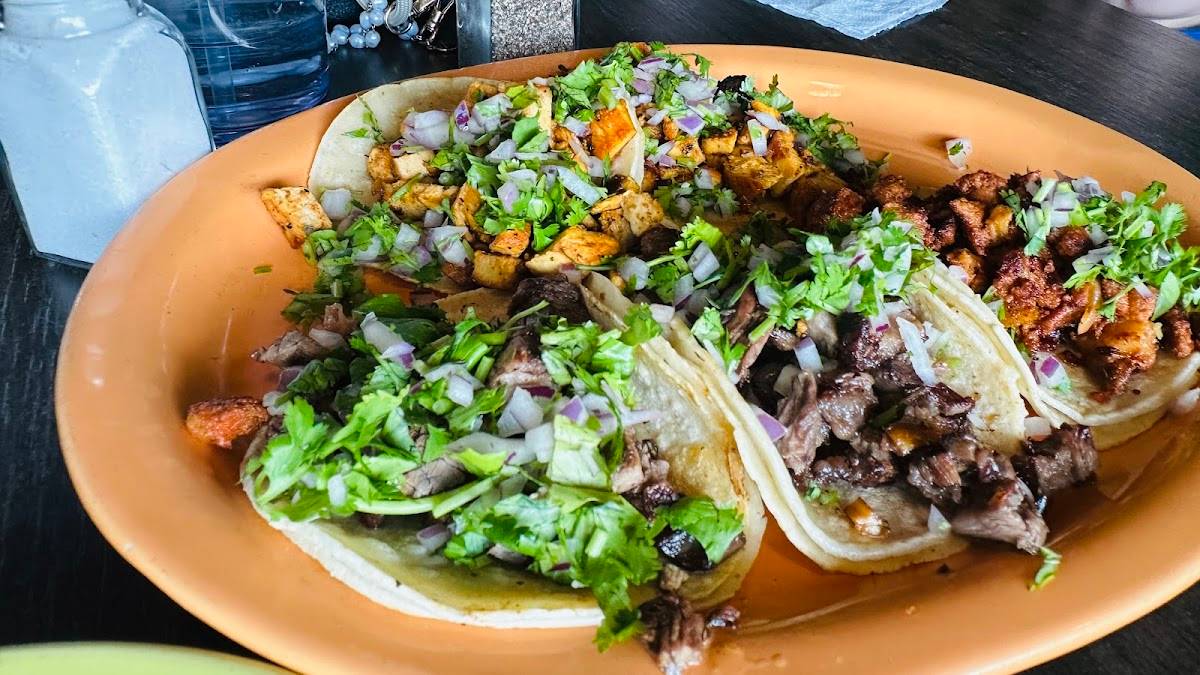Tortas de Fuego West Sedona restaurant in Sedona - photo 4