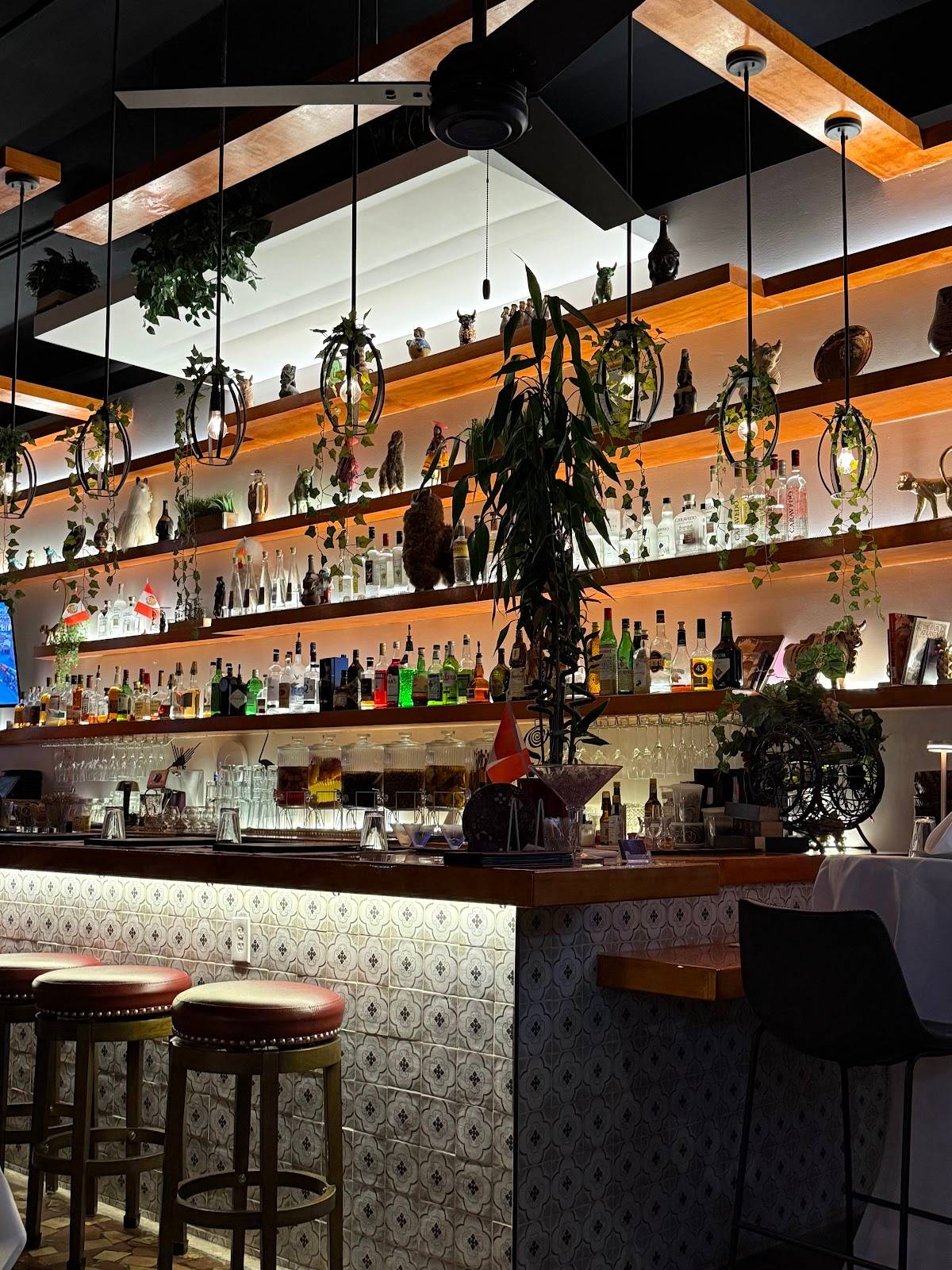 Tito's Ceviche & Pisco restaurant in New Orleans - photo 2