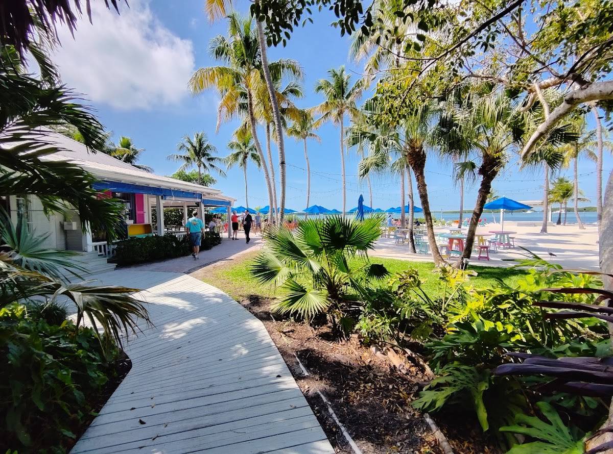 Morada Bay restaurant in Islamorada - photo 4