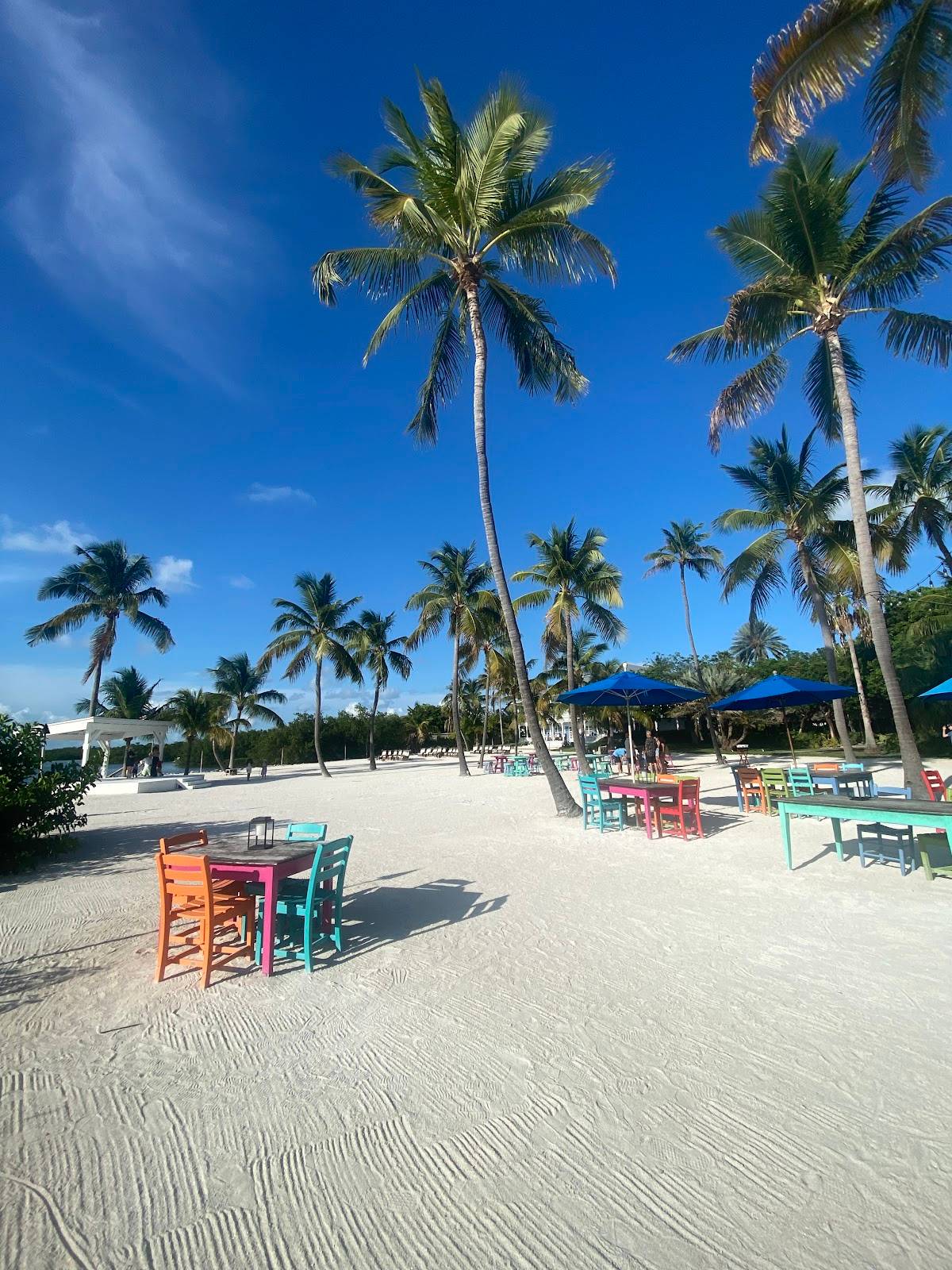Morada Bay restaurant in Islamorada - photo 7