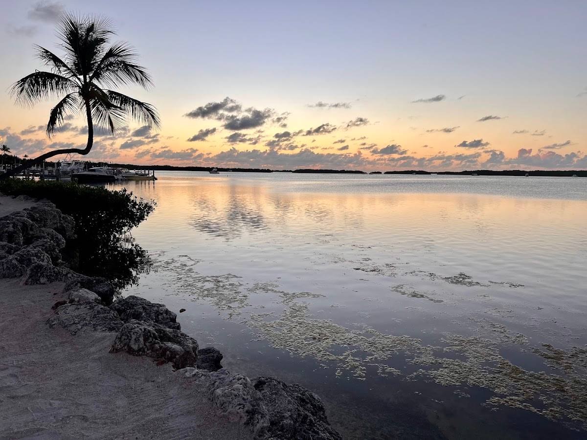 Morada Bay restaurant in Islamorada - photo 8